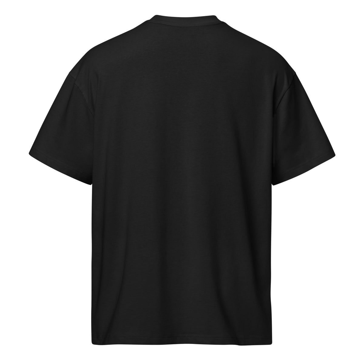 Black DPC Persistence Co. heavyweight oversized tee - back view